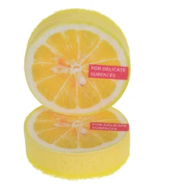 Topfreiniger-Set FRUITS