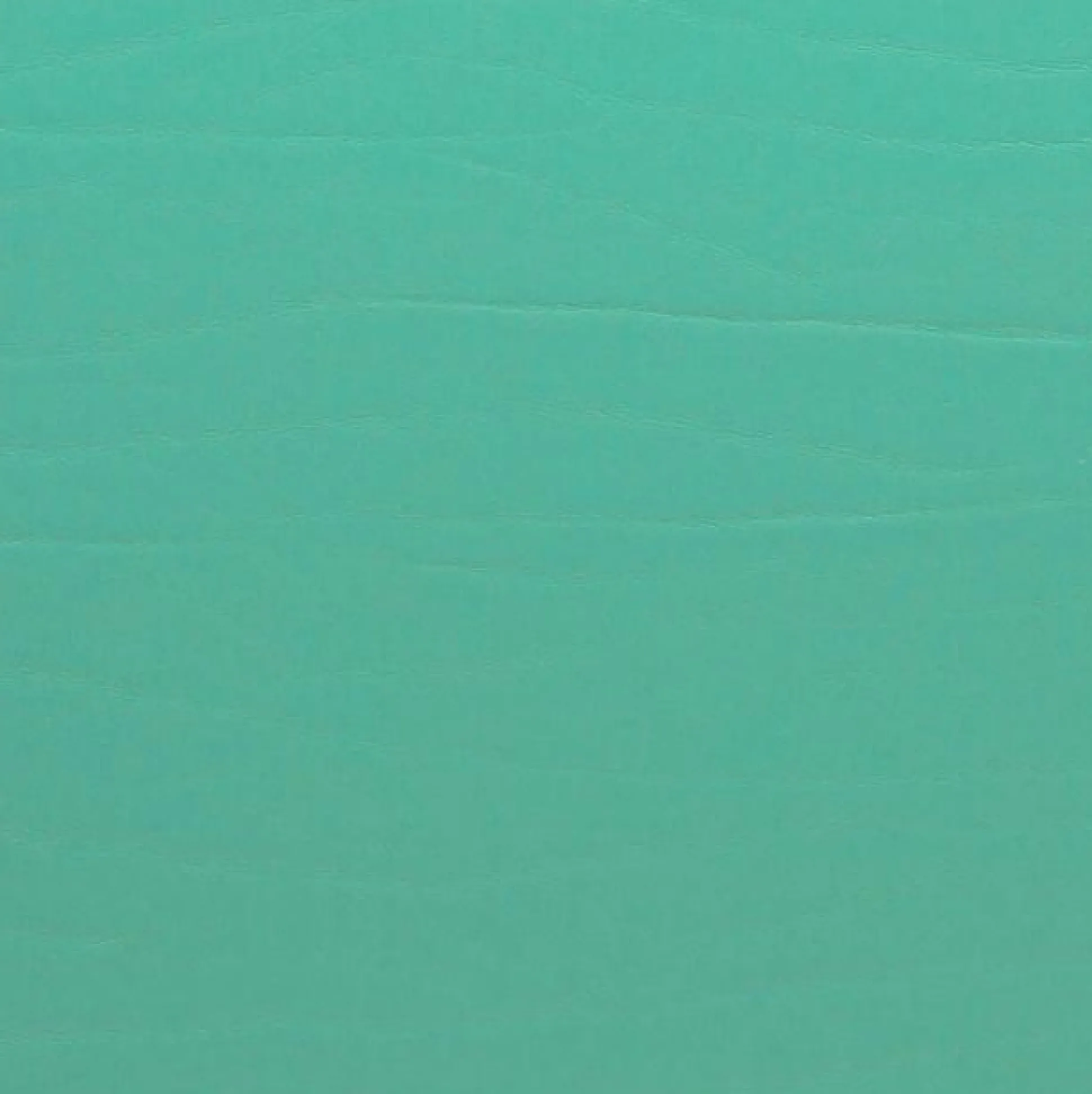 Untersetzer DUMBO LEATHERIXX