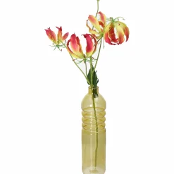 Vase BOTTLE