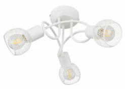 Wand-/Deckenspot FIASTRA