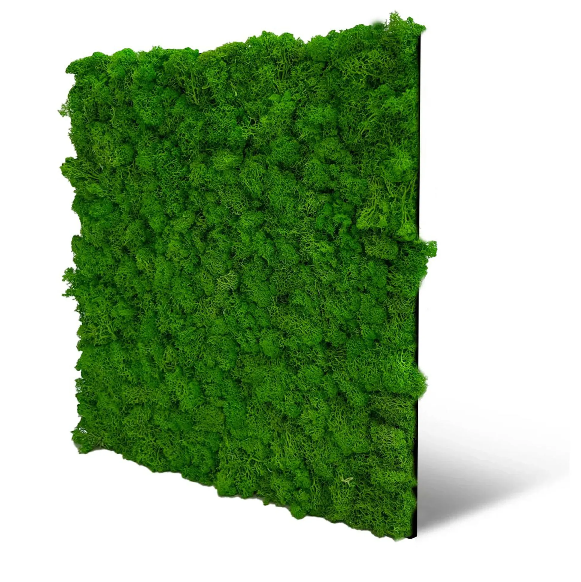 Wandpaneel MODULAR WALL