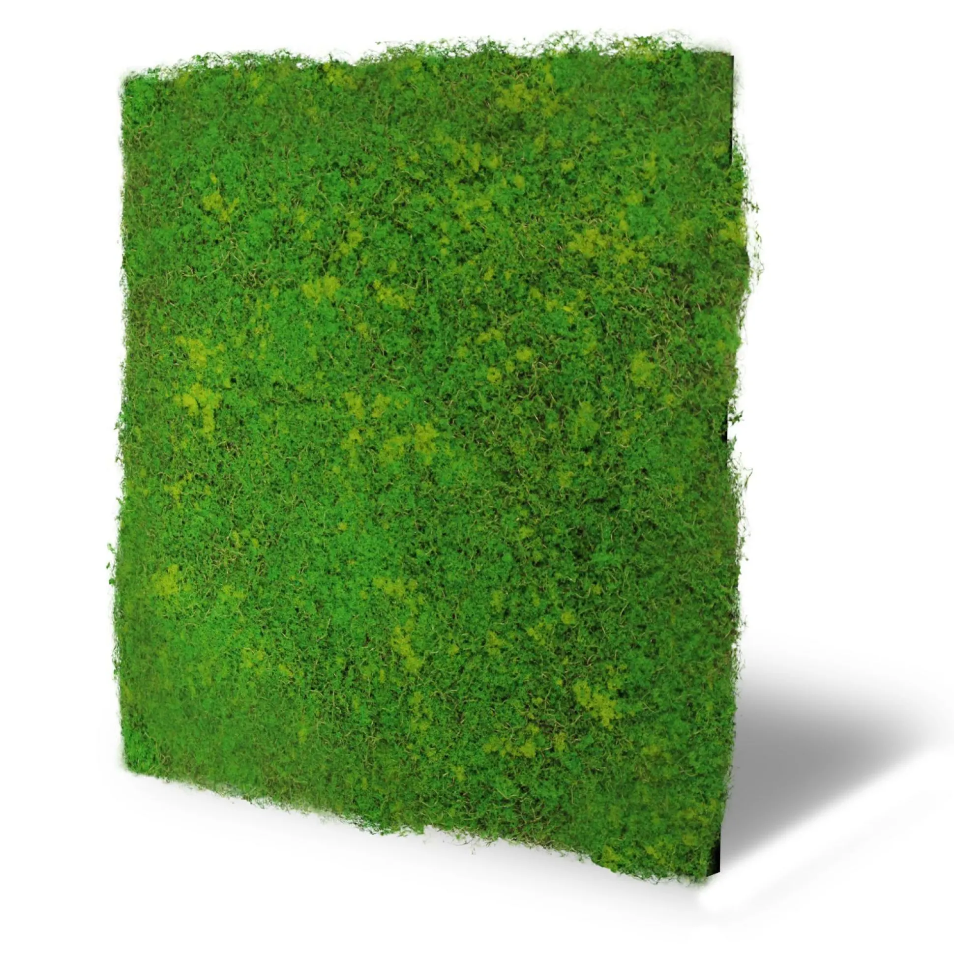 Wandpaneel MODULAR WALL