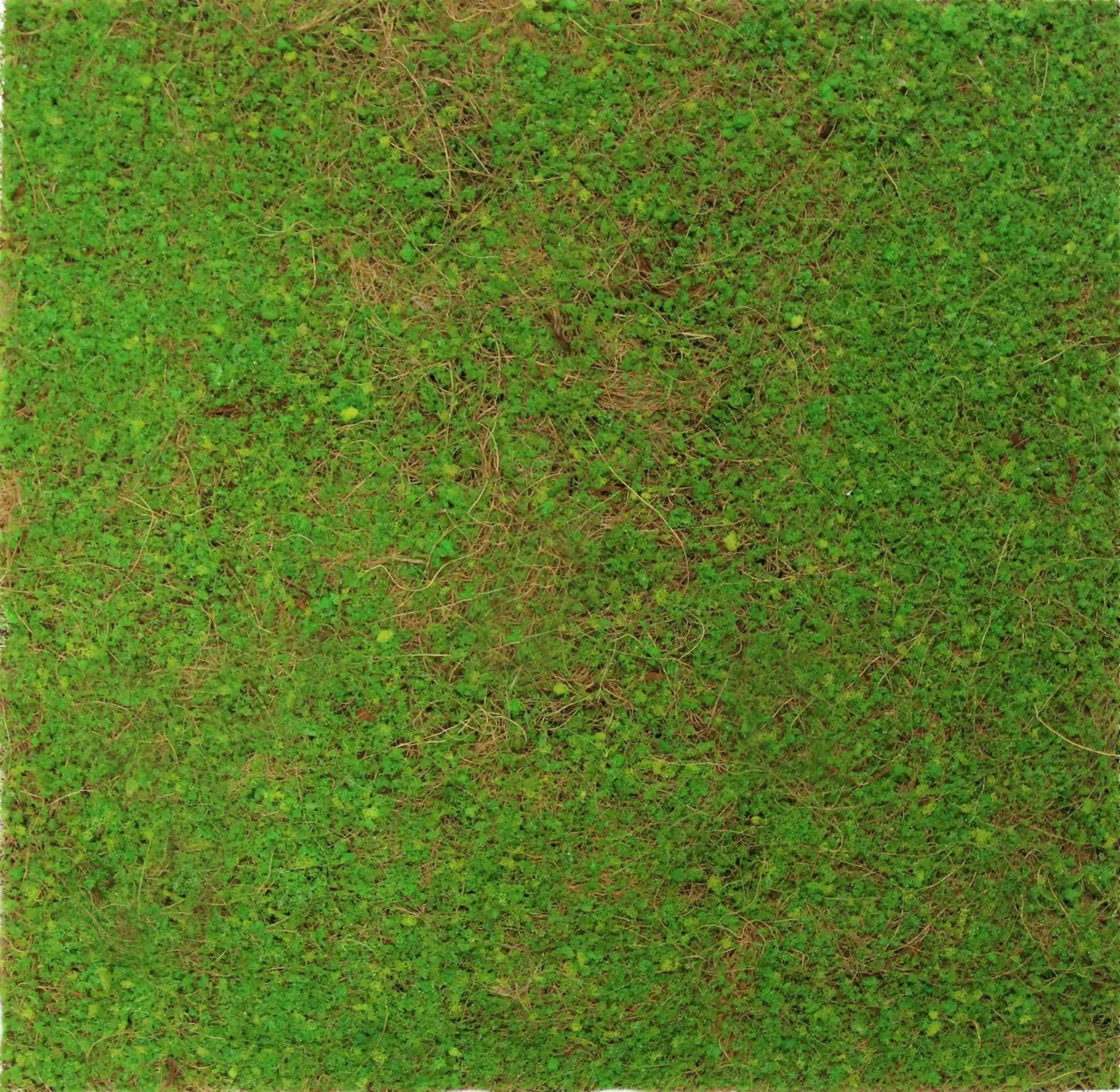 Wandpaneel MODULAR WALL