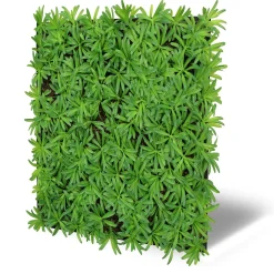 Wandpaneel MODULAR WALL