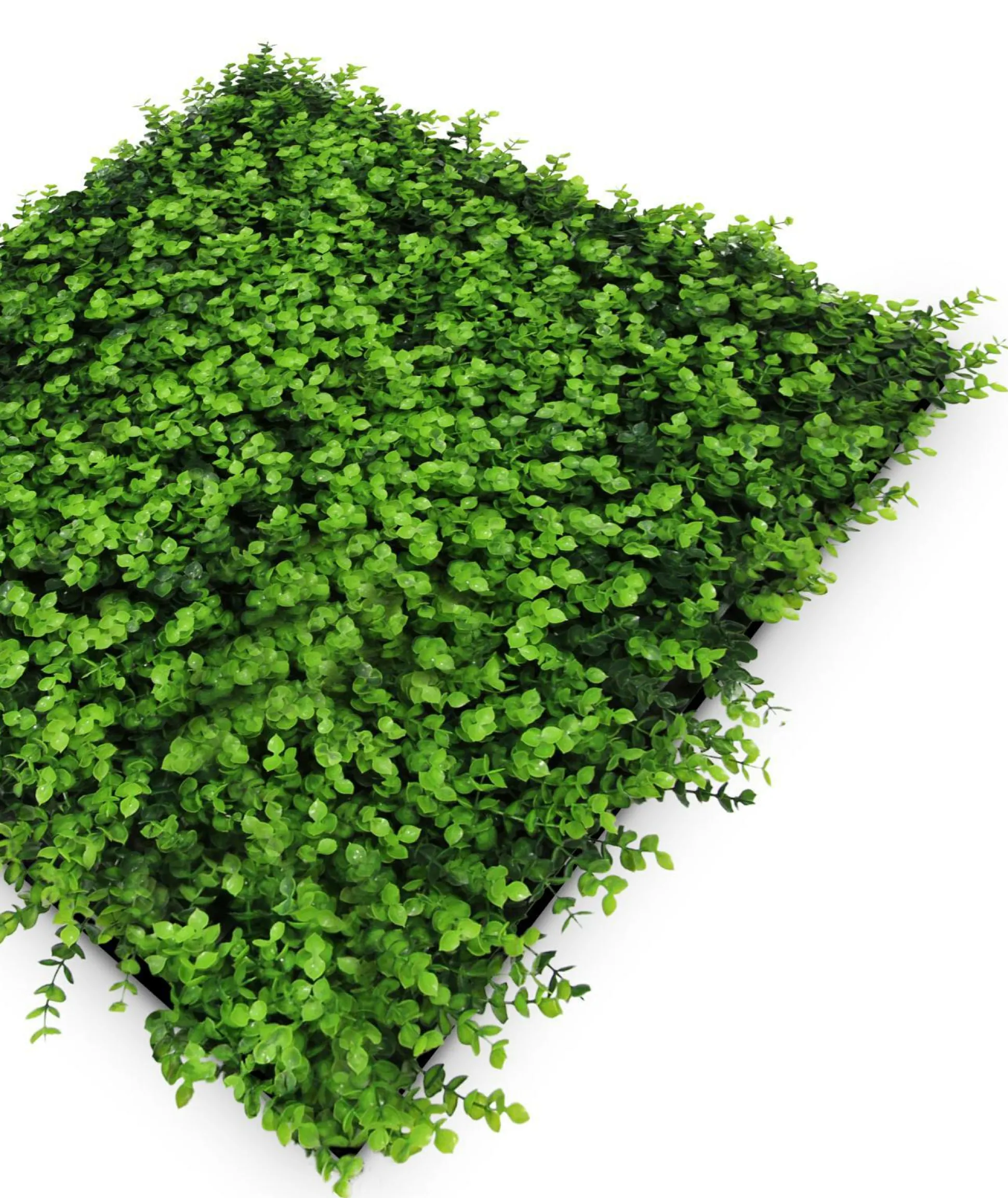 Wandpaneel MODULAR WALL