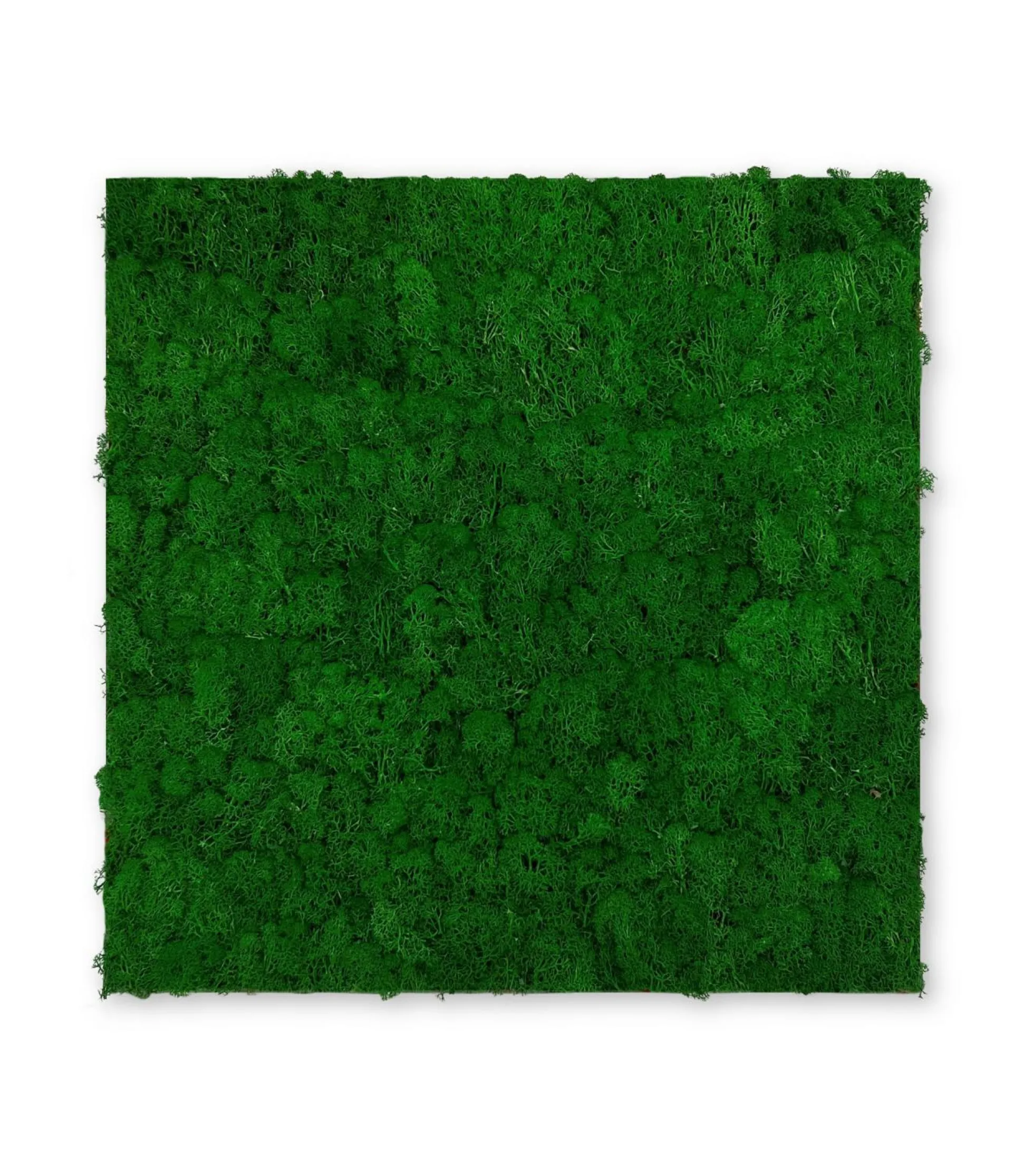 Wandpaneel MODULAR WALL