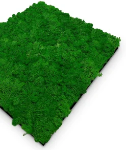 Wandpaneel MODULAR WALL