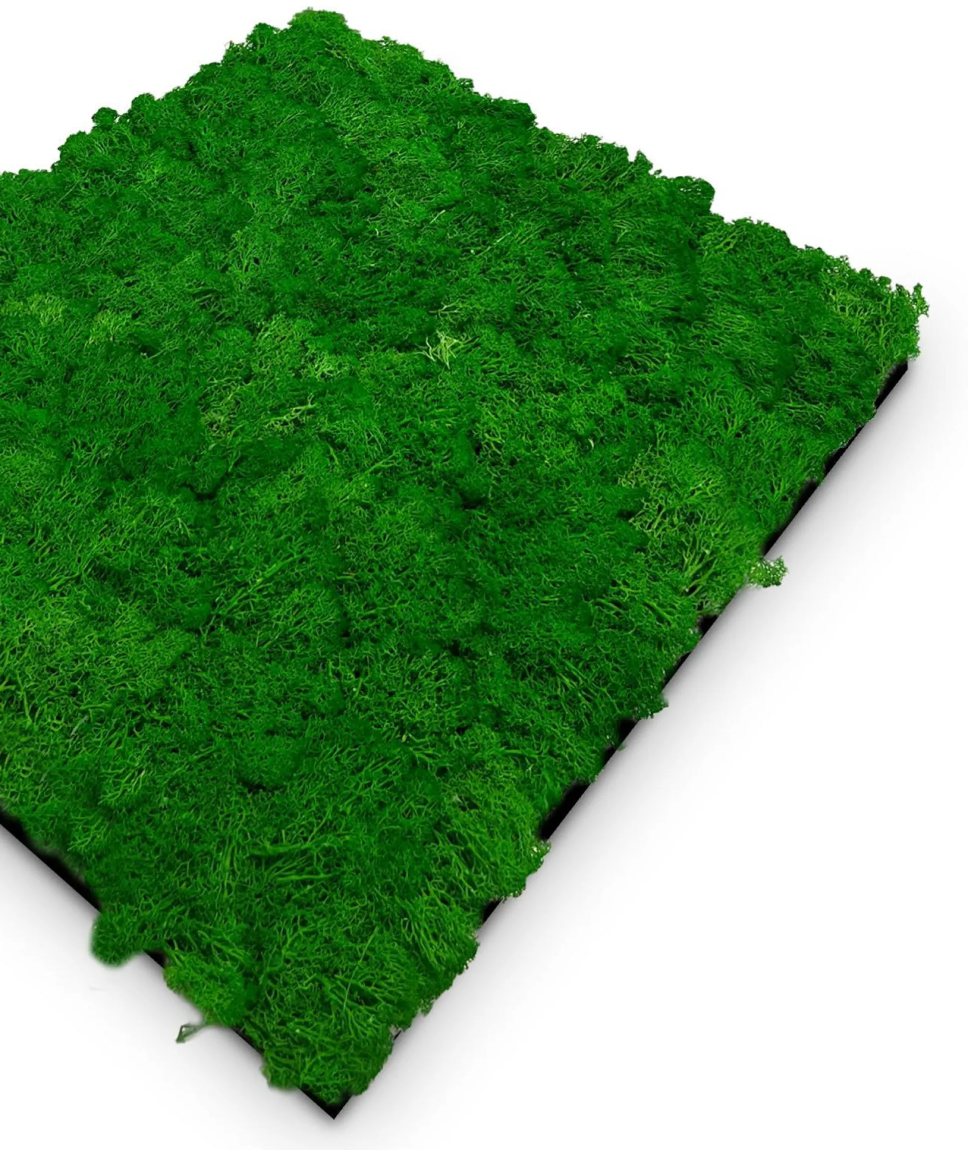 Wandpaneel MODULAR WALL